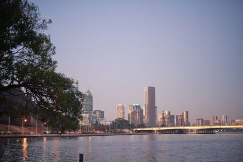 ©SHOTBYTHOM2025_L1130165 (3)